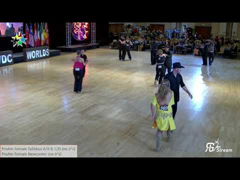 UCWDC 2023 Worlds Angela Craft ProAm Female Newcomer West Coast Swing
