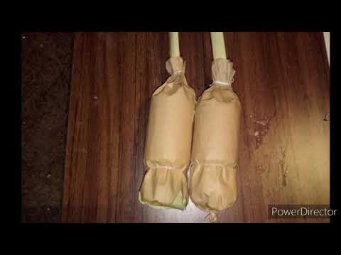 50mm TT firework shell