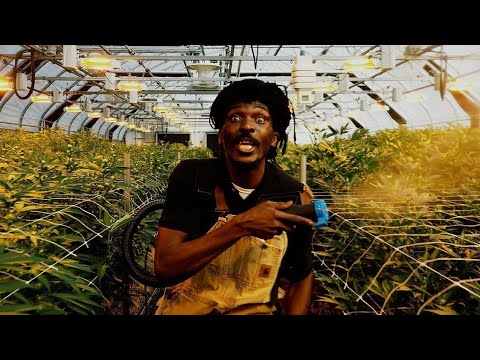 Anthony B - Weed Baby (Official Music Video)