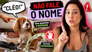 PARE DE FALAR O NOME DO SEU CACHORRO!!!!!