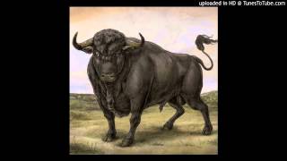 San Fermin - Casanova