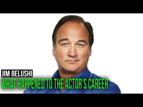 Jim Belushi. What Happened to the Actor's Career