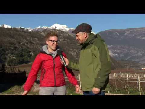 VALLE DI CAVEDINE: DALLAPÈ, L'AZIENDA ZOOTECNICA MULTIFUNZIONALE