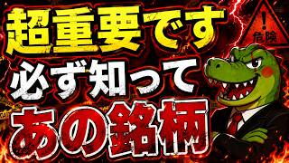 【あの銘柄が…】決算発表の今！投資初心者が知っておかなければいけない事を徹底解説！今後の株式市場の明暗を分けるあの銘柄とは！？