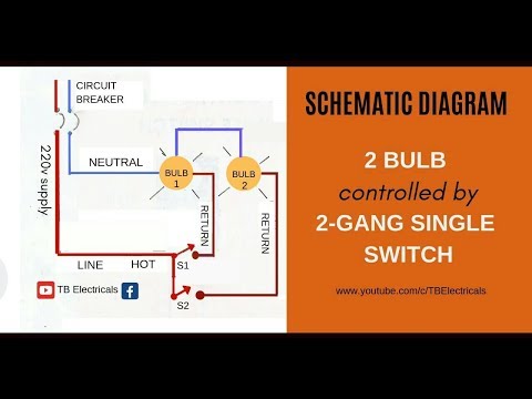 Electrical Tutorial: 2 Gang Switch Wiring (Actual and Schematic Diagram) Video