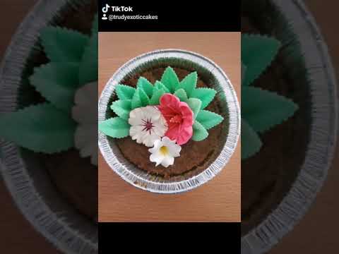 Trudy Exotic Cakes/Cupcakes