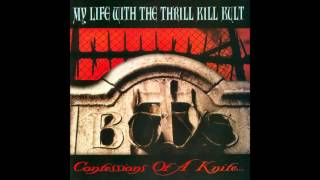 My Life With The Thrill Kill Kult &quot; A Daisy Chain for Satan&quot;