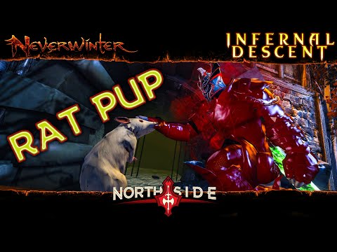Neverwinter Mod 18 - Rat Pup Showcase + Barkshield Update Northside Barbarian