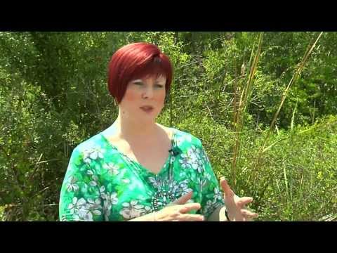 Release from Gastroparesis