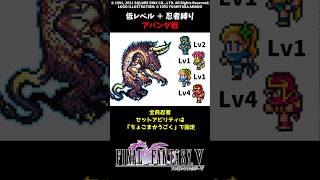 FF5 忍者だけでアパンダ 低Lv FINAL FANTASY V SFC版 job unification & Low-Level Run VS Apanda