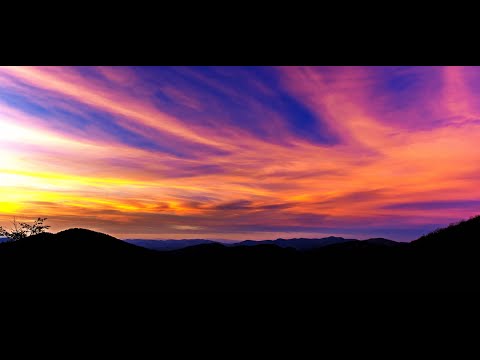 #AVAPOPUP featuring artist Luis Almeida