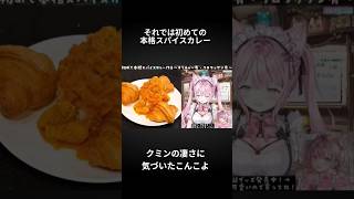 普通に美味しそうなカレーを作るこんこよ。#博衣こより