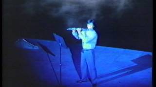 日本たばこ Peace light フルート 中川昌三 野外劇場編② 1988
