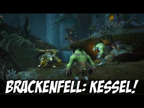 Brackenfellhöhle: Nutzt die Kessel in der Instanz! Hilfe gegen einen richtig ekligen Debuff
