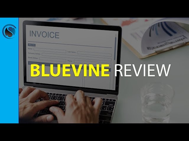 About bluevine