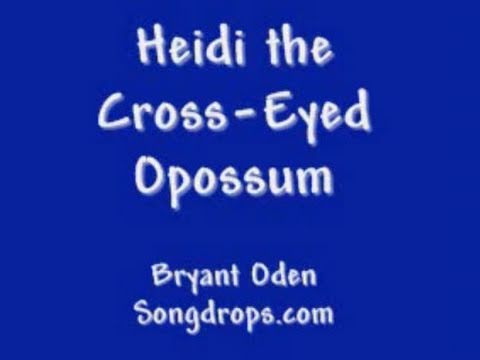 Heidi the Cross-Eyed Opossum : A Songdrops Song  by Bryant Oden