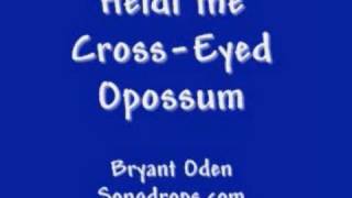 Heidi the Cross-Eyed Opossum : A Songdrops Song  by Bryant Oden