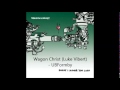 Wagon Christ (Luke Vibert) - UBFormby