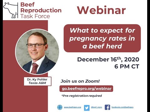 BRTF Monthly Webinar - Dr. Ky Pohler - 12/16/2020