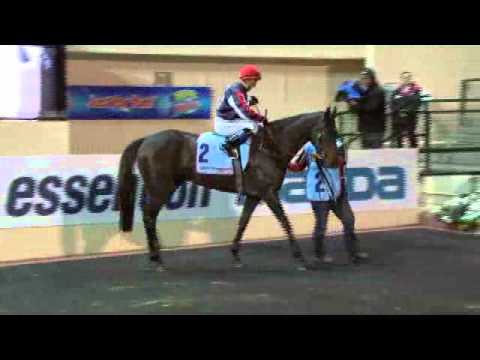 Black Caviar makes it 11/ 11 in the William Reid Stakes