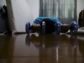 170 Push ups+18 Ab Wheel 腕立て伏せ170回+腹筋ローラー18回