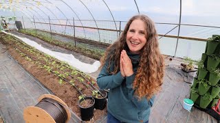 I've Been Waiting for This Day! | High Tunnel Layout, Drip Irrigation & Smart Upgrades