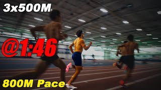 3×500m at 1:46 Pace… The HARDEST 800m Workout