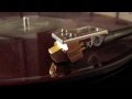 Shearwater - Animal Joy 
