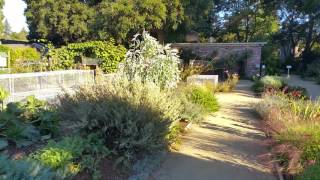 Improve Your Garden with These Drought Tolerant Plants