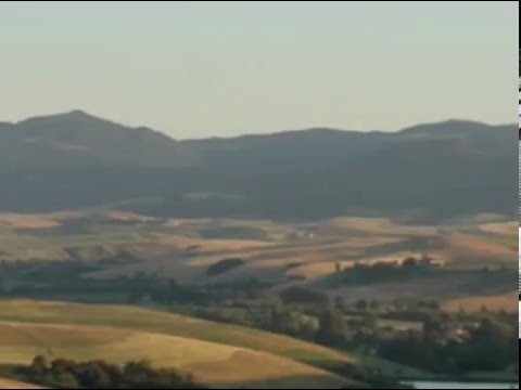 Casanova della Spinetta Opening