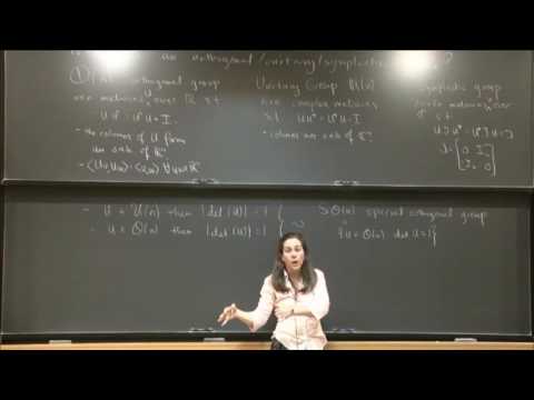 Concentration of Measure on the Compact Classical Matrix Groups - Elizabeth Meckes