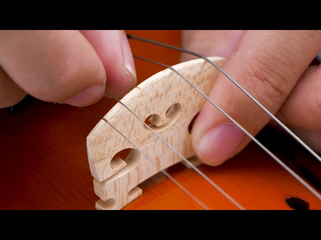 Vídeo relacionado con El violín Eastar EVA-3 4/4 de tamaño completo presenta un acabado mate y es adecuado para principiantes adultos. Incluye estuche rígido, hombrera, arco, afinadores y cuerdas de repuesto.
