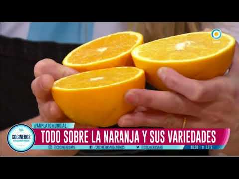 Todo sobre las naranjas