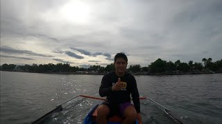 Sa Loob ng 3 Buwan Malalaki na ang mga Alaga Nating Samaral | BillyAillySeaTV