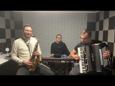 Program Instrumental Bihor