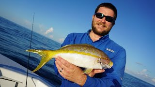 How to catch YellowTail Snapper + Bonus (Giant Red