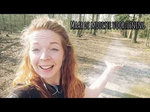 Wijkanalyse van Bakkeveen, een praktijkvoorbeeld