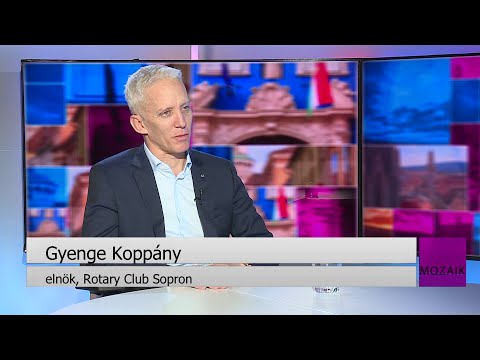 Mozaik – közéleti magazin – vendég: Gyenge Koppány – 2026.01.27.