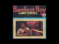 Larry Coryell - Call To The Higher Conciousness