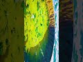 Suzume No Tojimari Hindi Cover Edit Shorts Hindisong Nanako Hara Ytshorts Anime Animeedit