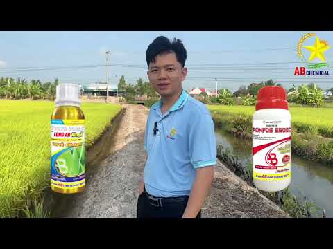 🔥 QUÝ ANH CHÚ THÍCH GÌ - AB CHEMICAL CHIỀU TỚI ĐÓ! 🔥