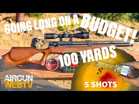Going LONG on a BUDGET! - The Beeman Commander .22 at 100 yards