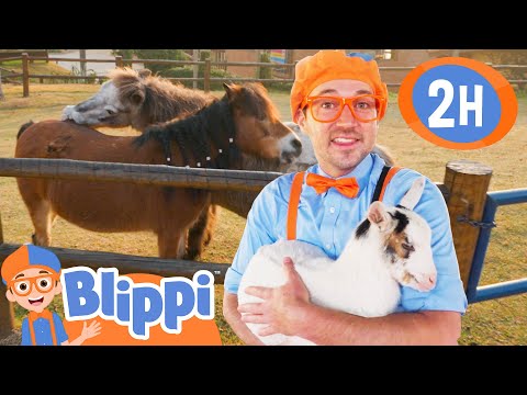 Blippi Plays with Animals at the Zoo! 2 Hours of Animal Stories for Kids