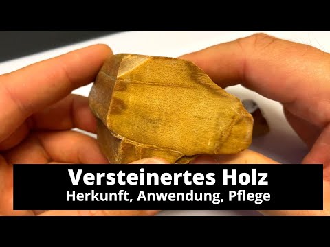 Versteinertes Holz Wirkung & Anwendung