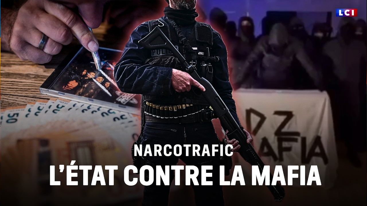 Illustration: DZ Mafia : opération Octopus, l'État frappe mais la guerre du narcotrafic reste totale