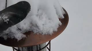 Jan 6th snow storm Blair.  from Felton Delaware