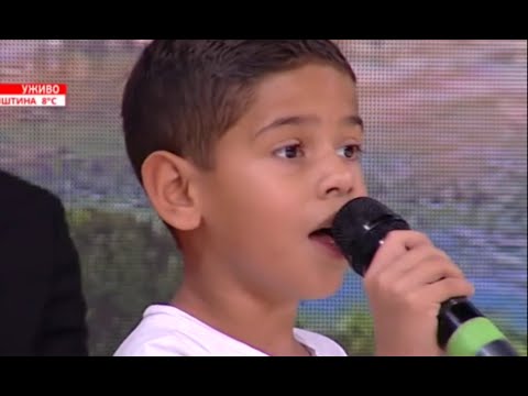 Ljuba Stanković i Nikola Ljubenović - Sve je laž