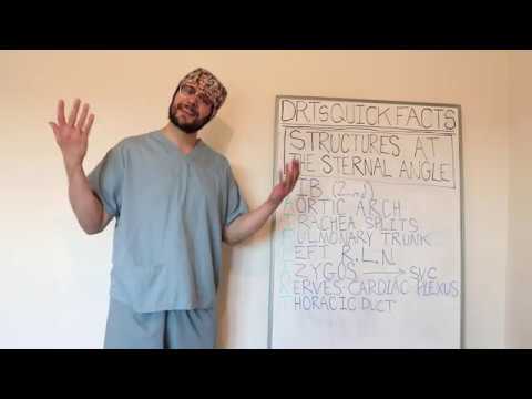 Structures at the Sternal Angle