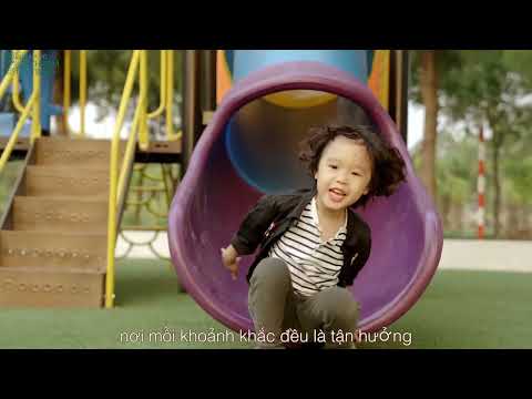 Video dự án 1