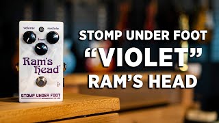 Video thumbnail for Stomp Under Foot | "Violet" Ram's Head | Fuzz Pedal Demo by Tone Tailors Guitar Shop